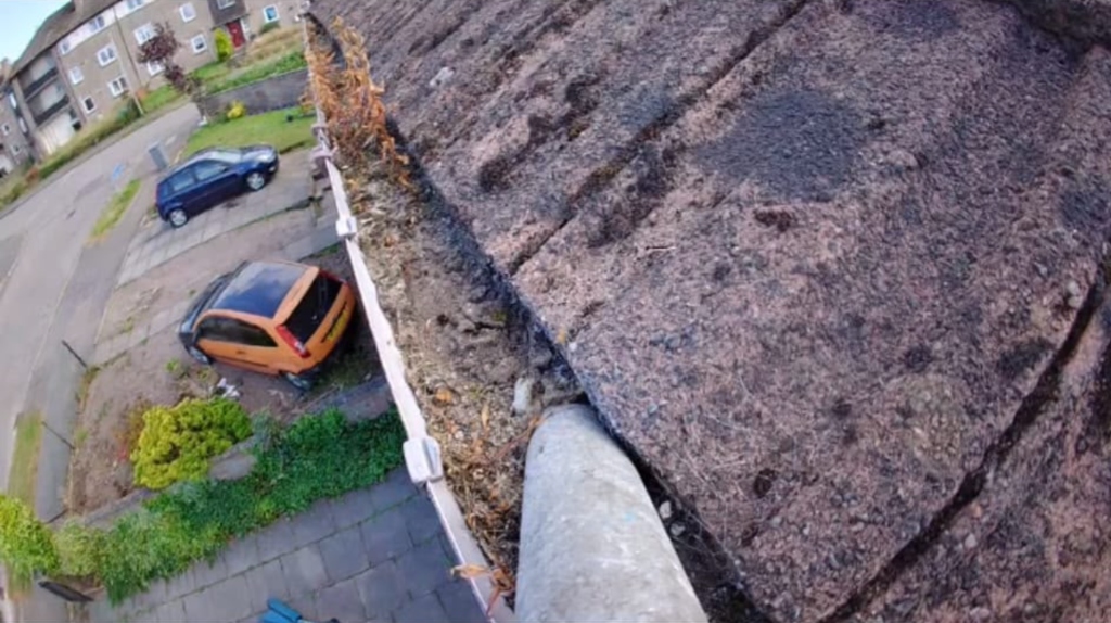 Real before gutter clearing photo